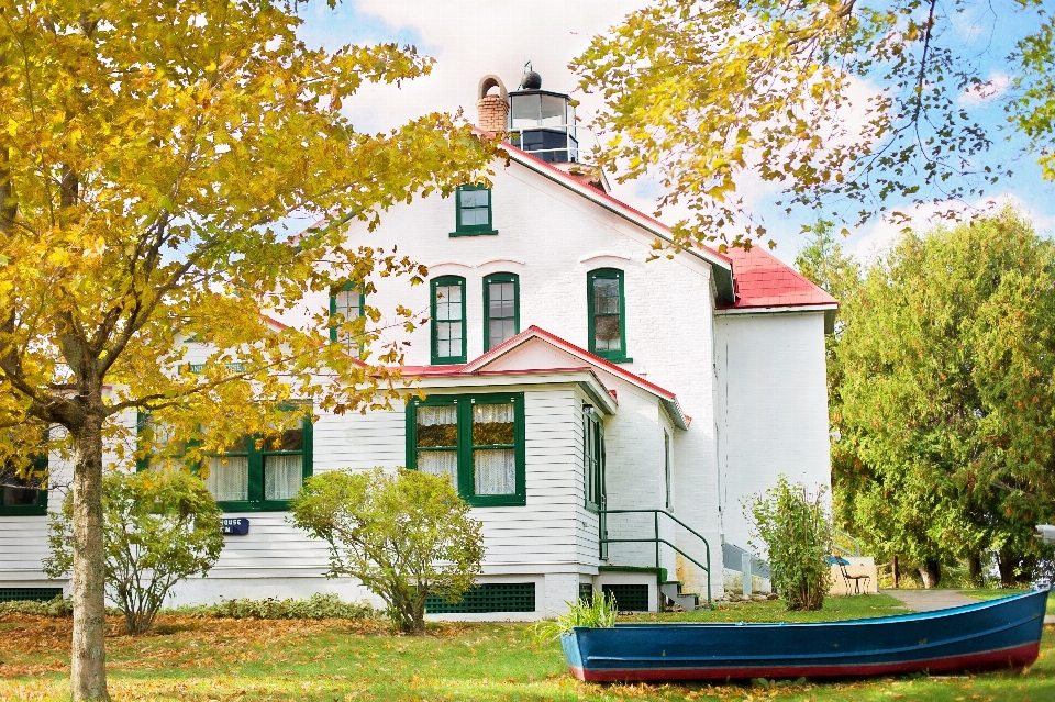 Tree lighthouse villa house