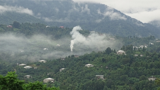 Foto Bosque montaña nube niebla