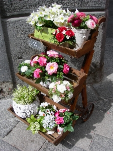 Plant road flower vase Photo