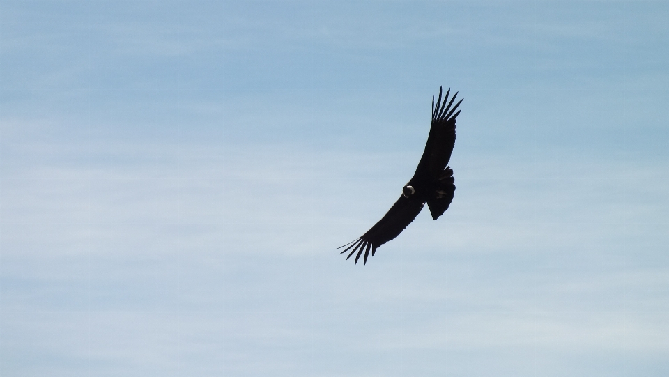 風景 鳥 羽 空