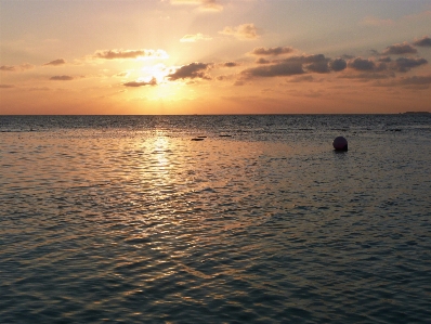 Beach sea coast sand Photo