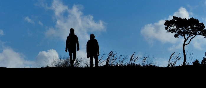 Foto Pohon alam rumput cakrawala