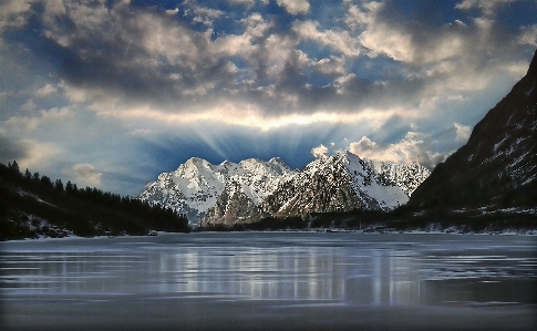 風景 木 自然 森 写真