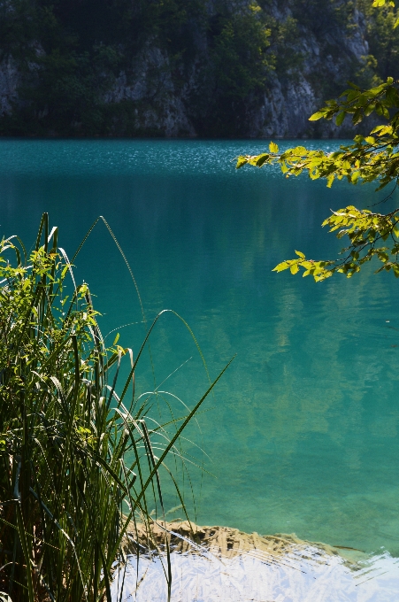 Mar agua naturaleza océano