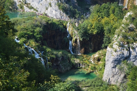 Landscape forest waterfall mountain Photo