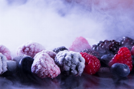 雪 寒い 植物 霧 写真