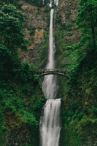 Foto água floresta cachoeira formação