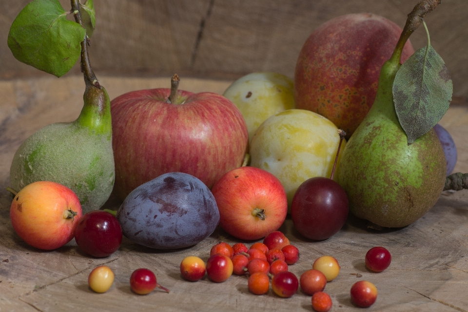 Apple anlage frucht essen