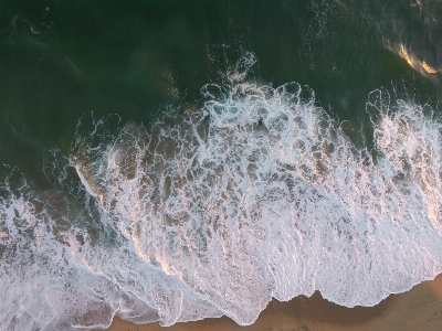 Beach sea water sand Photo