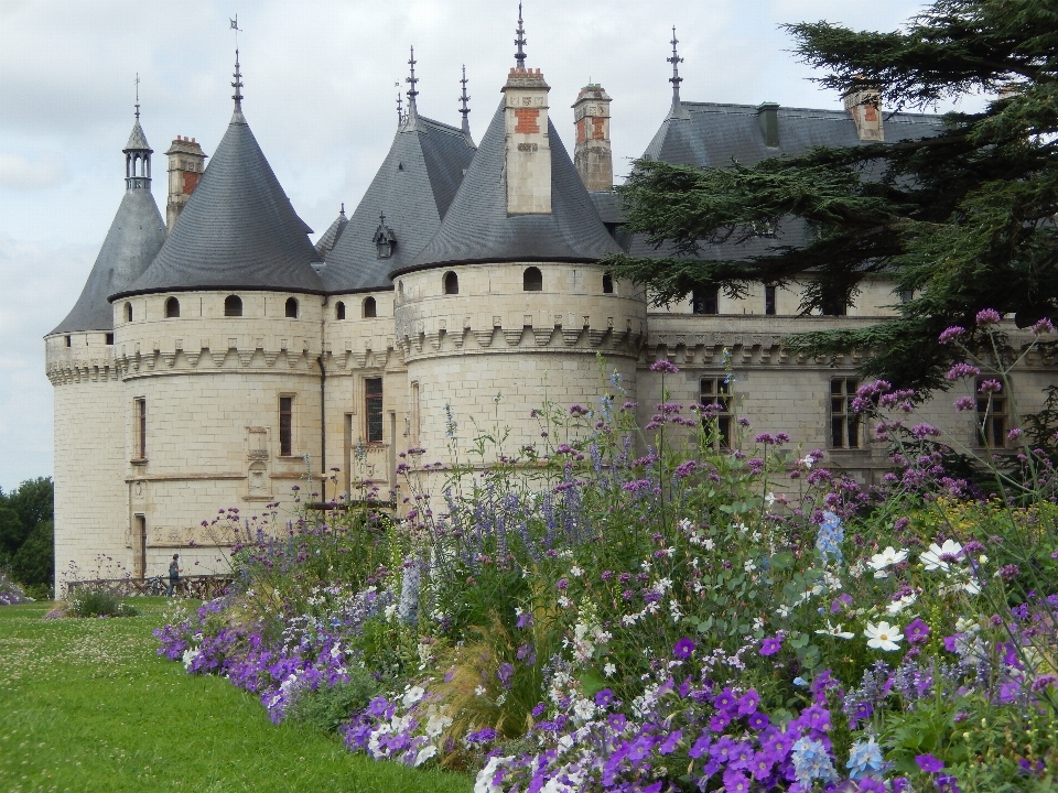 Fleur bâtiment château
 vallée