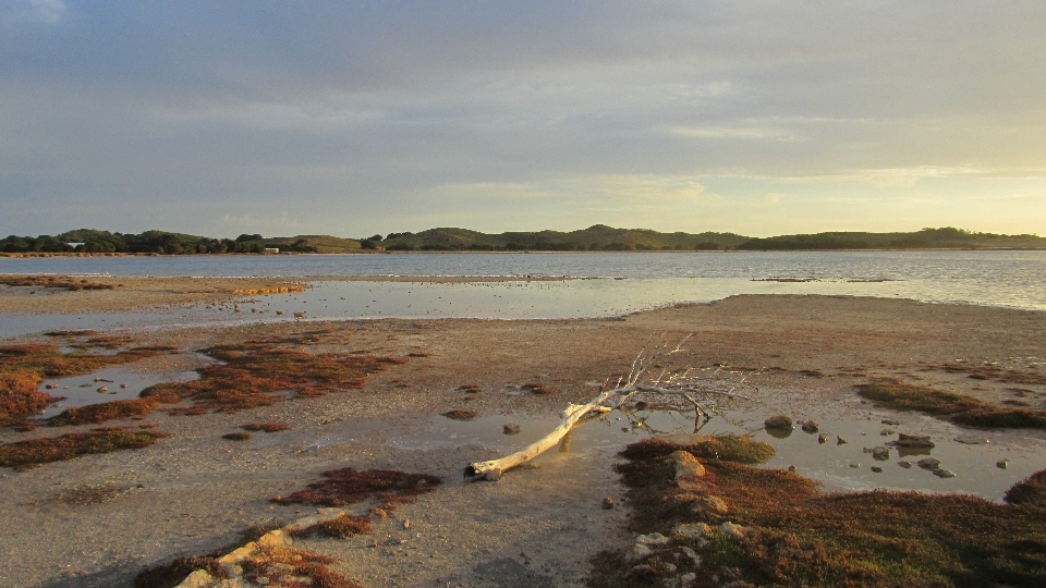 Plage mer côte sable