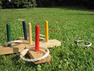 Grass wood lawn play Photo