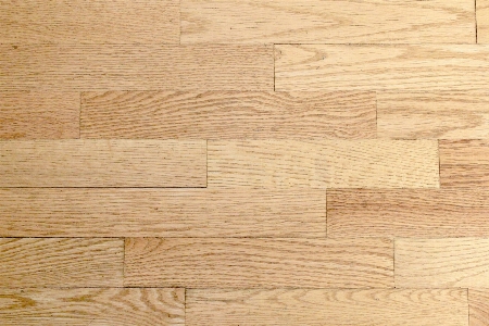 Light wood texture floor Photo