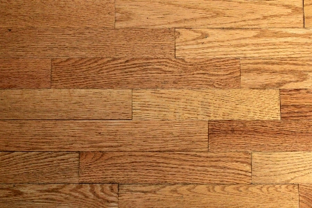 Board wood plank floor Photo