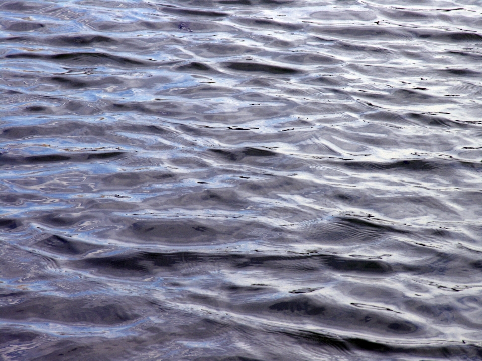 Strand meer küste wasser