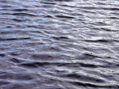 Beach sea coast water Photo