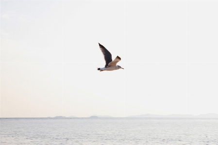 ビーチ 風景 海 自然 写真