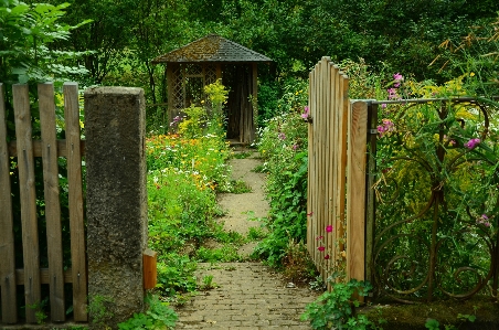 Nature blossom fence wood Photo