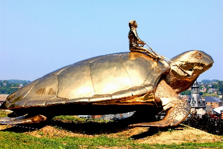 Landscape turtle sea reptile Photo