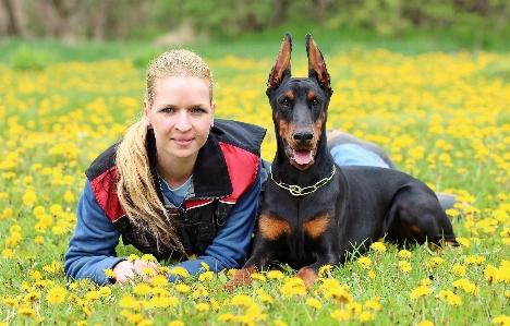 Natur frau wiese
 hund Foto