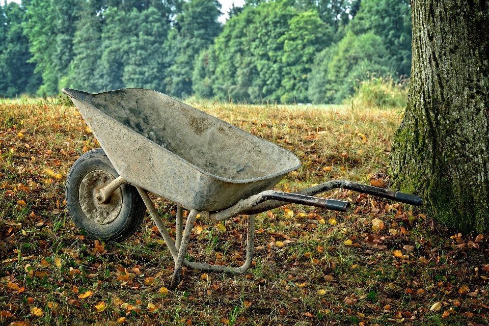 Arbeiten baum natur gras