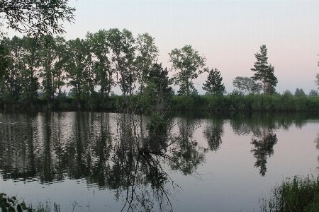 Landscape tree water nature Photo