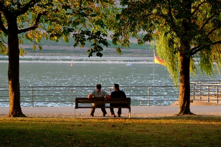 Foto Assistir paisagem árvore água