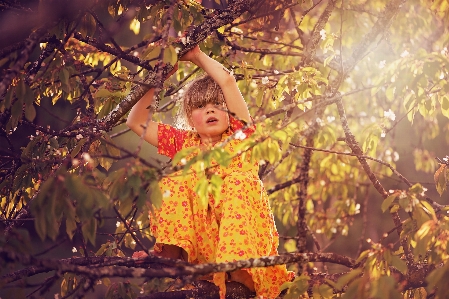 Tree nature branch person Photo