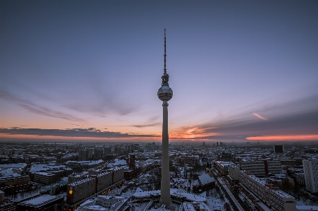 Sea horizon winter needle Photo