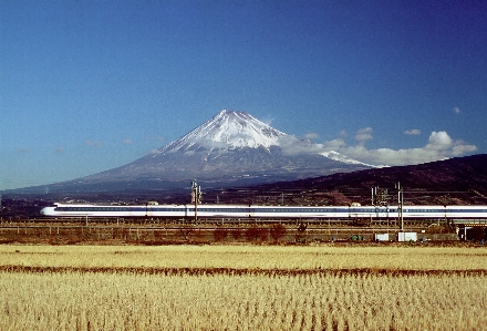 風景 地平線 山 雪 写真