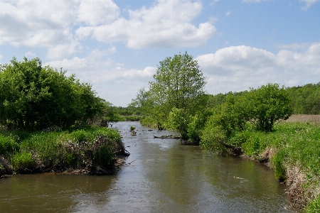 Zdjęcie Krajobraz drzewo woda natura