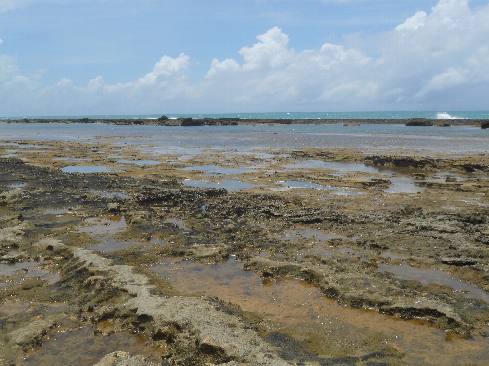 海滩 海 海岸 水