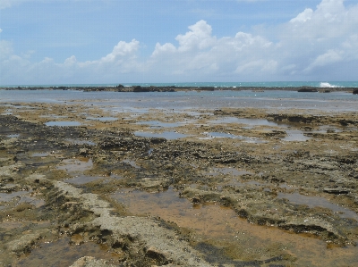 Beach sea coast water Photo