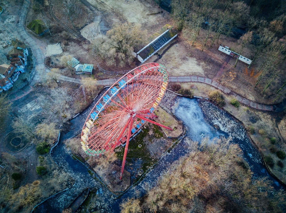 Forest vehicle terrain aerial view