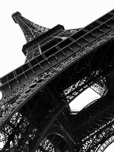 Photo Aile noir et blanc
 paris france