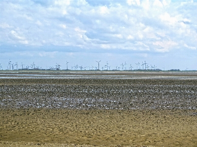 Beach landscape sea coast Photo