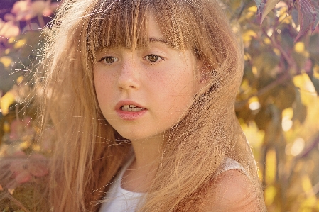 自然 人 女の子 女性 写真