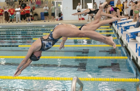 Water recreation diving pool Photo