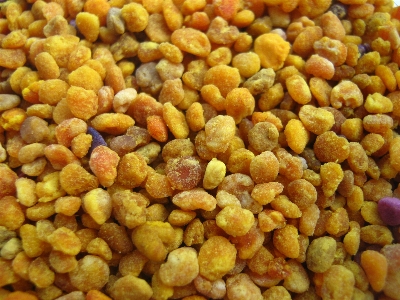 Plant fruit pollen dish Photo