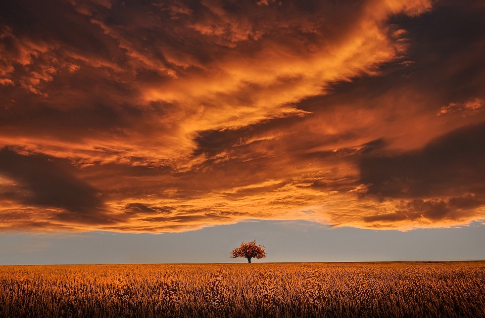 Man landscape tree horizon