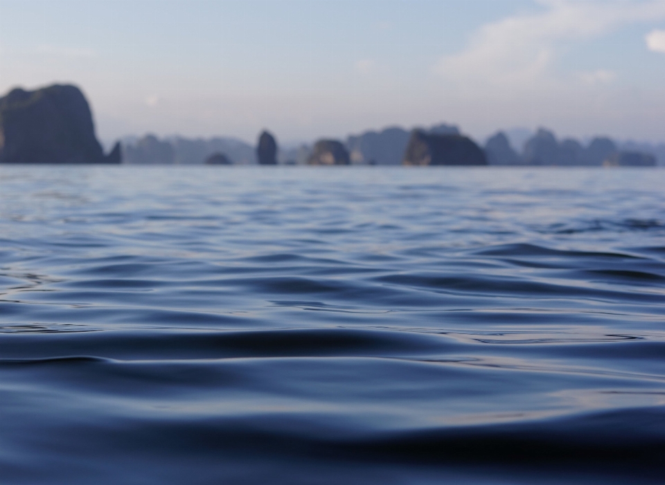 海 海岸 水 海洋