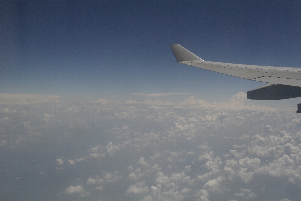 Aile nuage ciel atmosphère