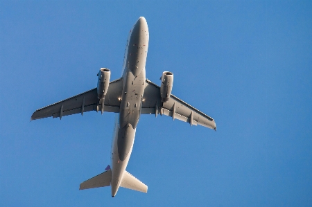 Wing sky fly travel Photo