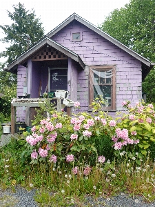 Foto Prato casa fiore viola