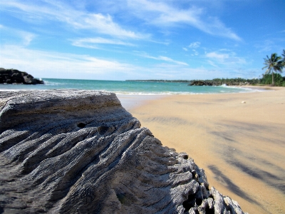 Beach sea coast sand Photo