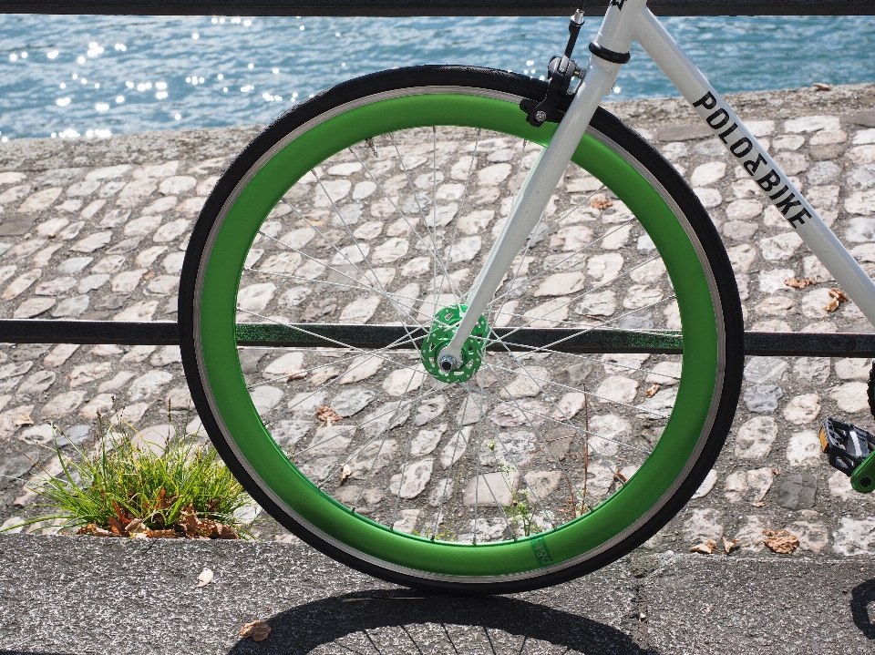 Ruota bicicletta verde veicolo