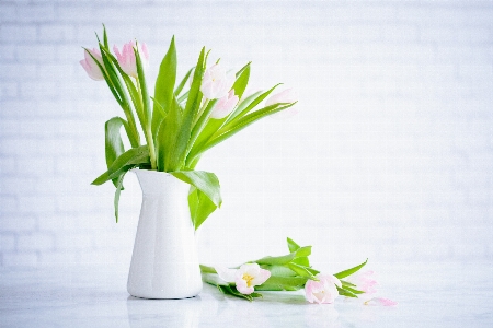 Plant leaf flower vase Photo