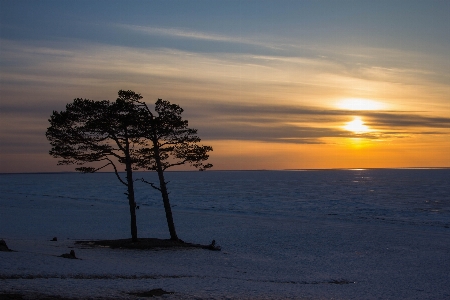 Beach landscape sea coast Photo