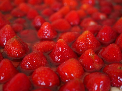 Plant raspberry fruit berry Photo