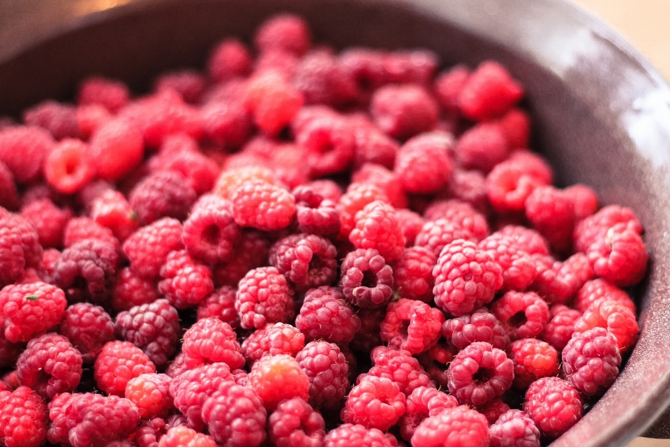 Plant raspberry fruit berry